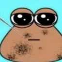 poop poop
