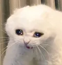 D8KnpNoXUAAhN9_