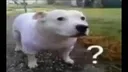 huh