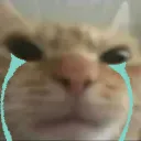 yotomadcry