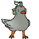 HaiDuckJam HaiDuckJam