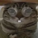 NerdyBany NerdyBany