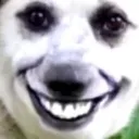 HeySmile