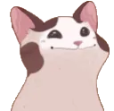 PopCat