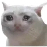 crii