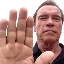 arnoldHalt