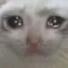 VAlak