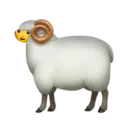 heyo