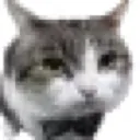 buisnessboi buisnessboi