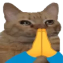 praygecat
