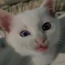 emoji_41