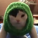 Babushcat