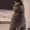 WhatWasThat4 WhatWasThat4