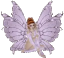 fairy