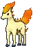 ponyta