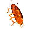 613815187346161664