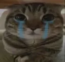 SadBany
