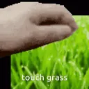 touchgrass touchgrass