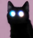 y_Cursed