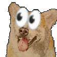 pocketsHype pocketsHype