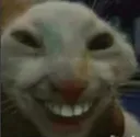 xdd