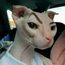 FB_IMG_1673474370475