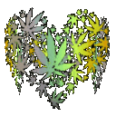 3dweedlove2