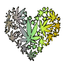 3dweedlove