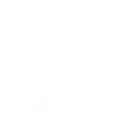 Order Order