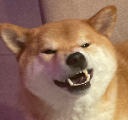 nahhhwtf Discord emoji