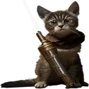 JediCat