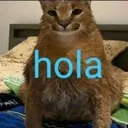 hola hola