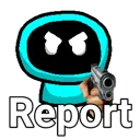 report
