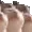 catjamPARTY3