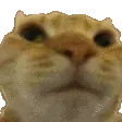 Nono Nono