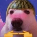 UwU