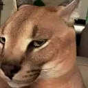 Bruh