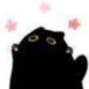 cat_yay
