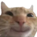 CatHappy CatHappy