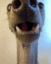 zc_lick