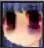rikadespair