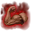StrengthEoY