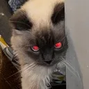 demonic