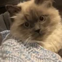 concerned