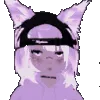 NwySpinTr