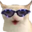 catchest