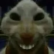 xd xd