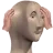 panik