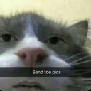 toes