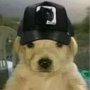 perromexa
